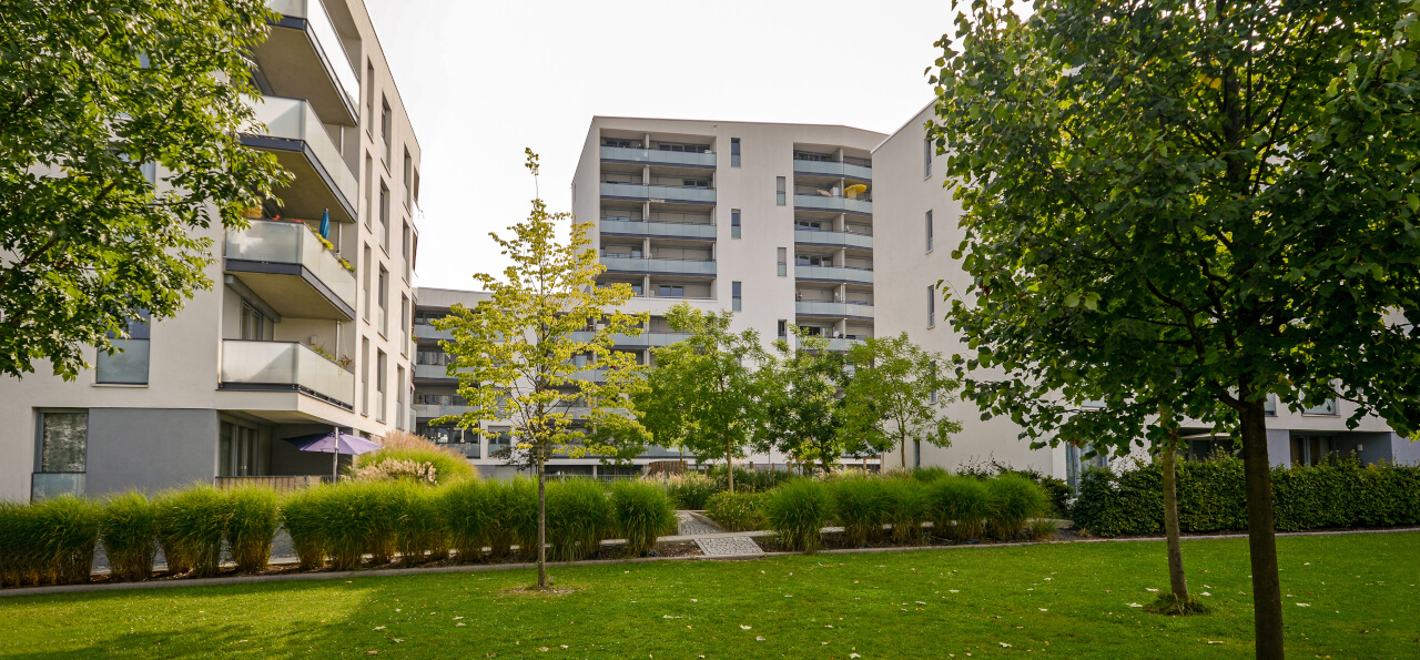 Un groupe d'immeubles collectifs et modernes